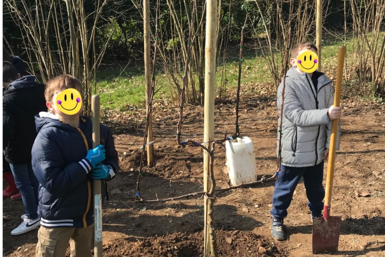 Plantation